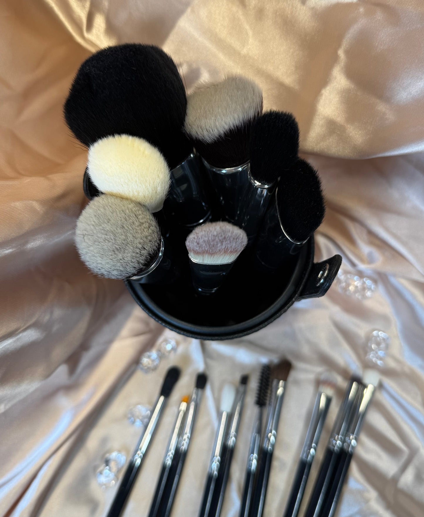 Pony and Goat Hair Makeup Brushes with barrel traveling case